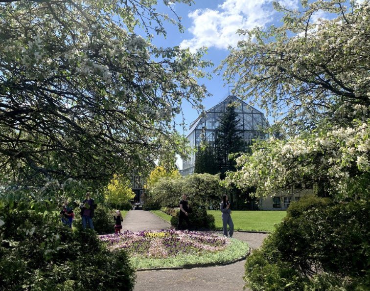 Lviv University Botanical Garden, Ukraine